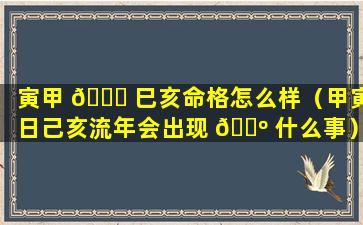 寅甲 🐘 巳亥命格怎么样（甲寅日己亥流年会出现 🐺 什么事）